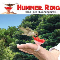 Ring Design Handheld Hummingbird Feeders